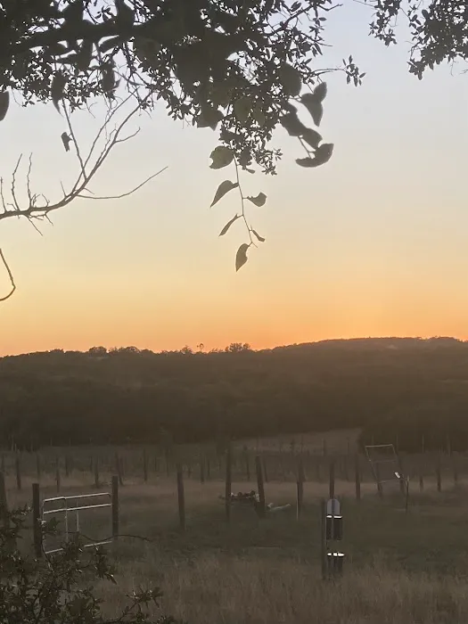 Vineyard View RV Park Picture 1