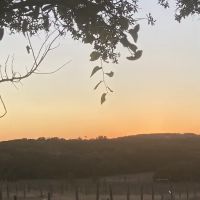 Vineyard View RV Park ico