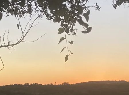Vineyard View RV Park
