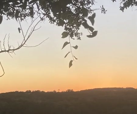 Vineyard View RV Park
