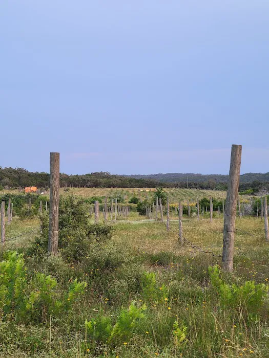 Vineyard View RV Park Picture 5