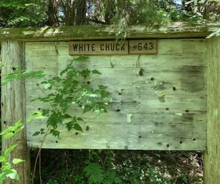 Owl Creek Campground