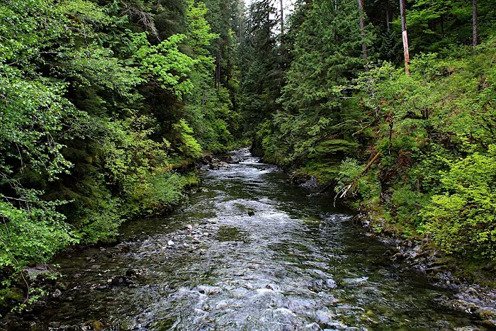 Clear Creek Campground Picture 6