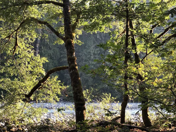 Clear Creek Campground Picture 10
