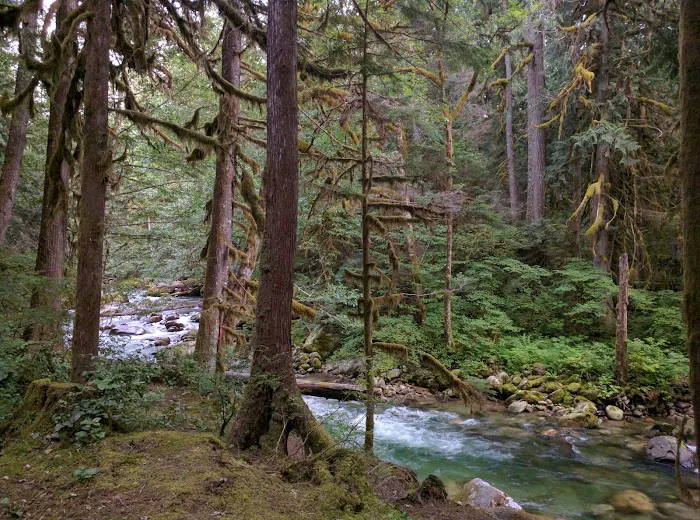 East Side Buck Creek Campground Picture 1