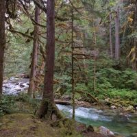 East Side Buck Creek Campground ico