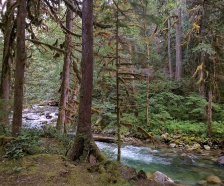 East Side Buck Creek Campground