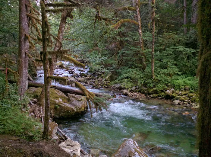East Side Buck Creek Campground Picture 2