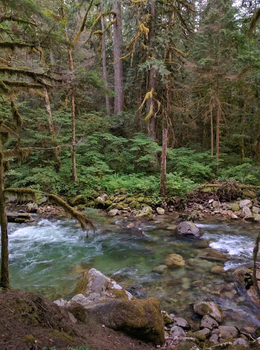 East Side Buck Creek Campground Picture 4