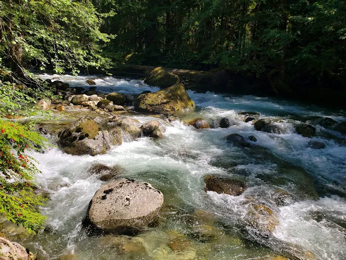 Buck Creek Campground Picture 5