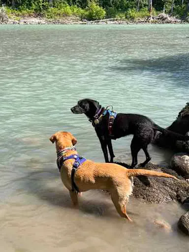 Buster's on the Sauk Picture 5