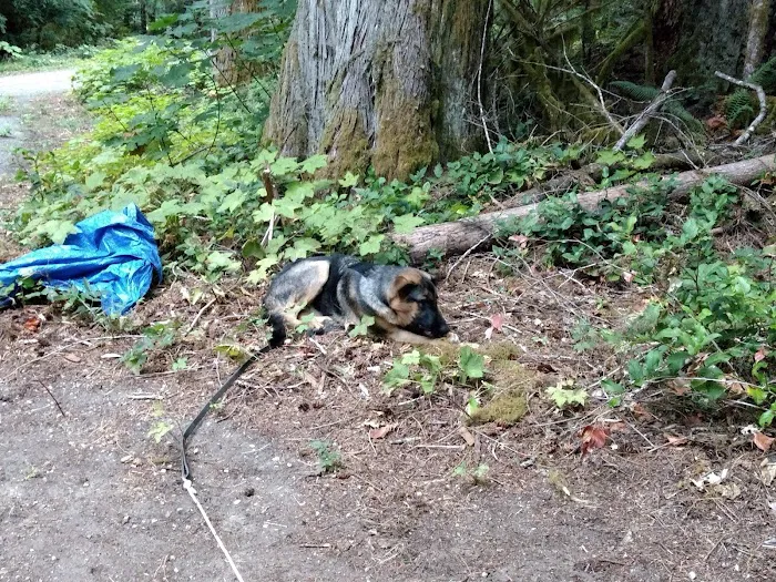 Sulphur Creek Campground Picture 10