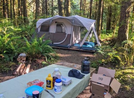 Gold Basin Campground