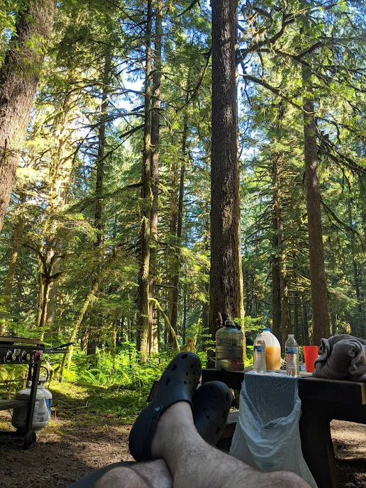 Gold Basin Campground Picture 3