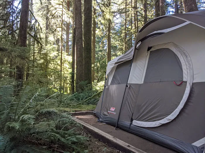 Gold Basin Campground Picture 6