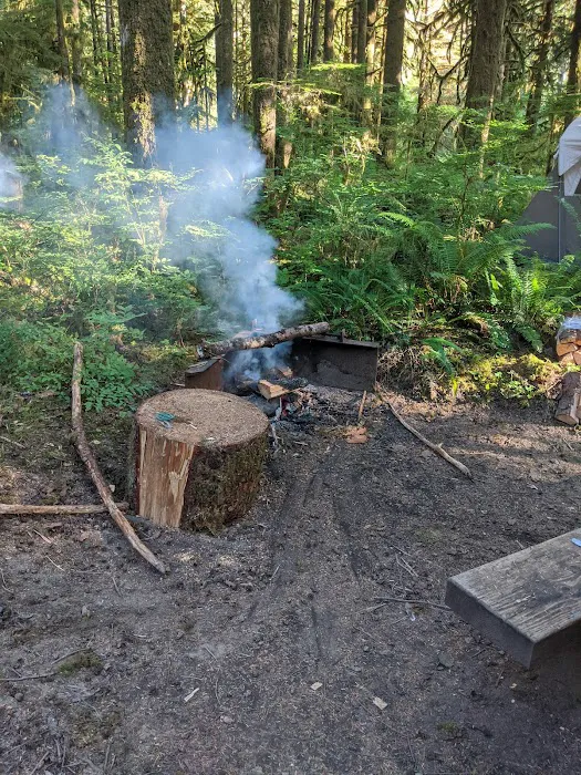 Gold Basin Campground Picture 8