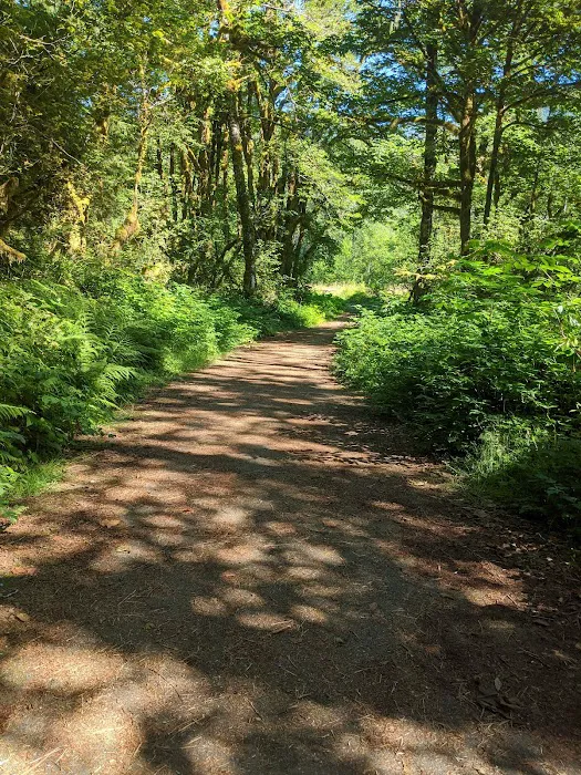 Gold Basin Campground Picture 9