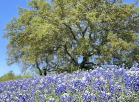 Marble Falls RV Park