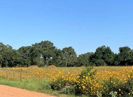 Bellamont RV Park