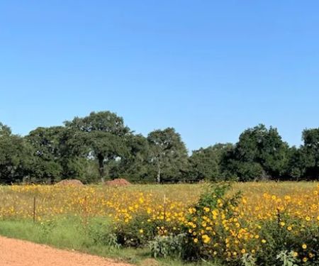 Bellamont RV Park
