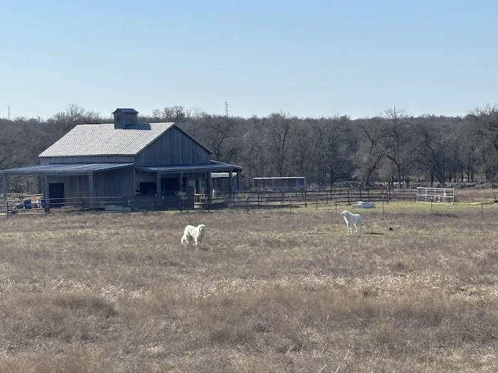 Hidden Elm Farm & RV Park Picture 2