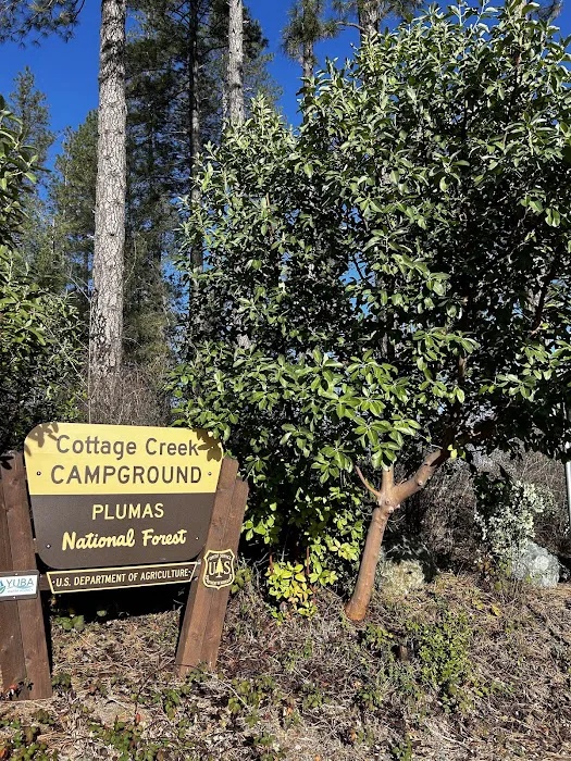 Cottage Creek Campground Picture 5