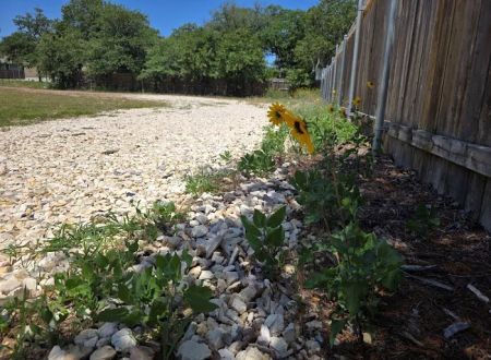 Elgin RV Park - Colinas