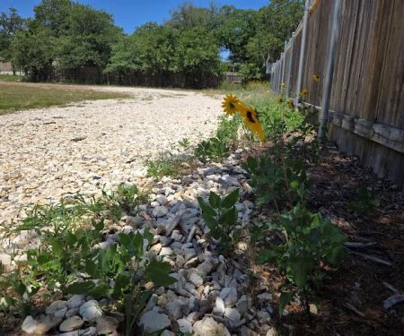 Elgin RV Park - Colinas