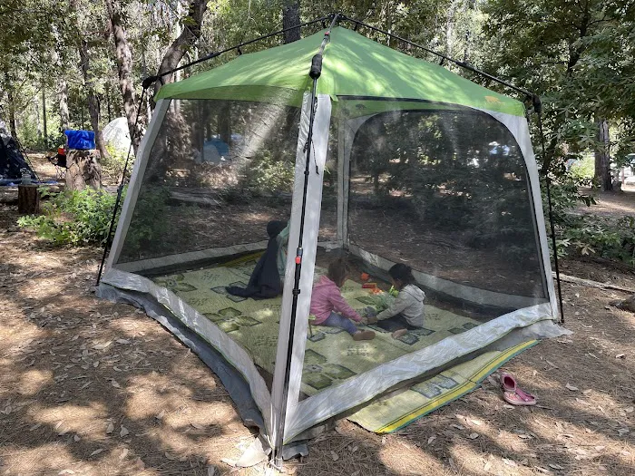 Hornswoggle Group Campground Picture 7