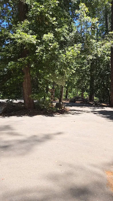 Douglas Fir Group Campground Picture 1