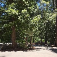 Douglas Fir Group Campground ico