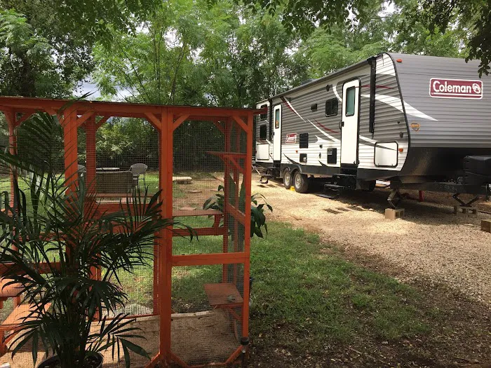 Las Palmas Rv Park Picture 1