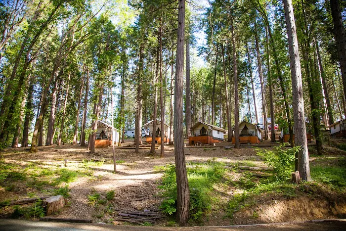 Inn Town Campground Picture 6