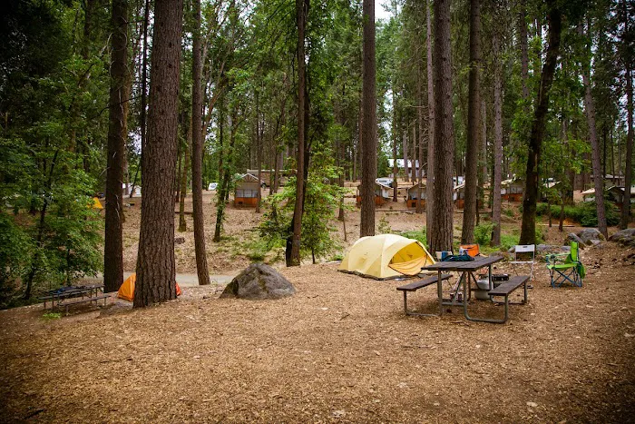 Inn Town Campground Picture 8