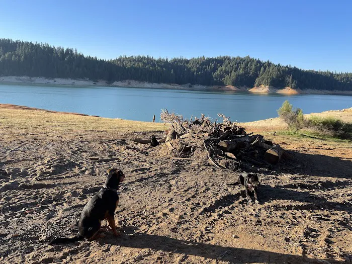 Garden Point Campground Picture 5