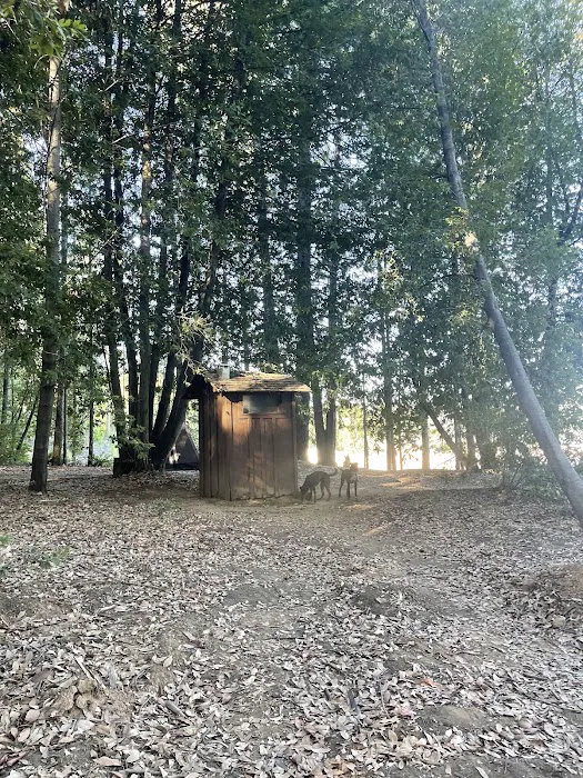 Garden Point Campground Picture 7