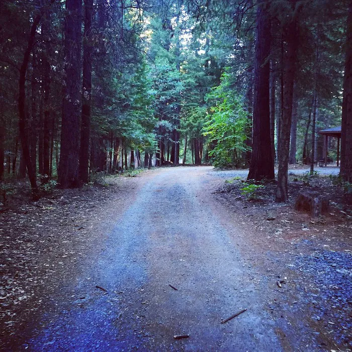 Camp Alta Picture 4