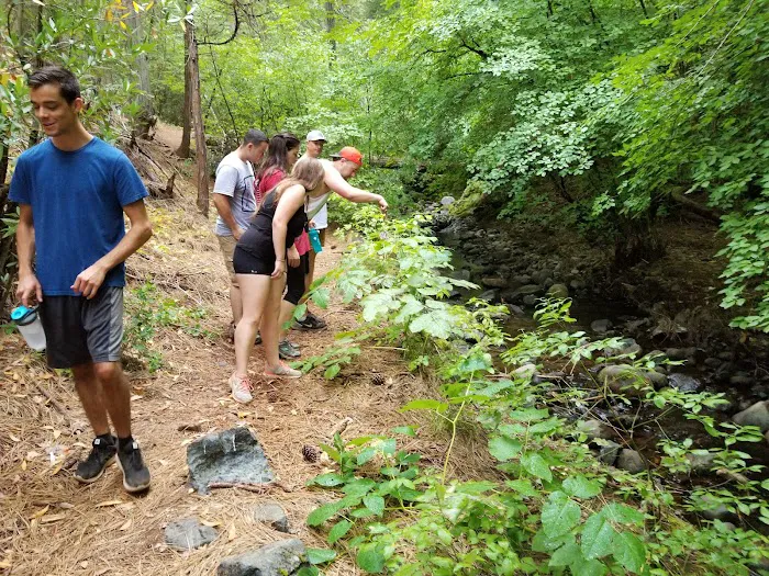 Camp Alta Picture 9