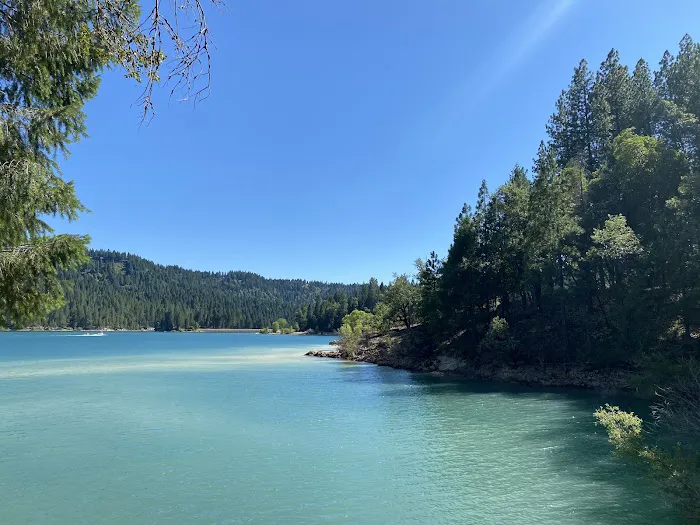 Scotts Flat Lake Picture 6