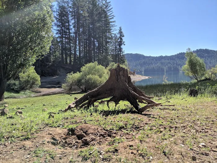 Scotts Flat Lake Picture 10