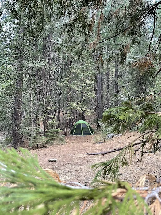 Tunnel Mills Group Campground Picture 1