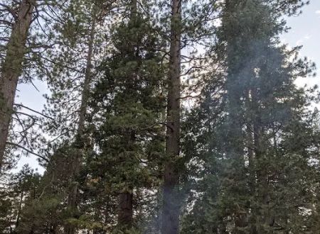 Onion Valley Campground