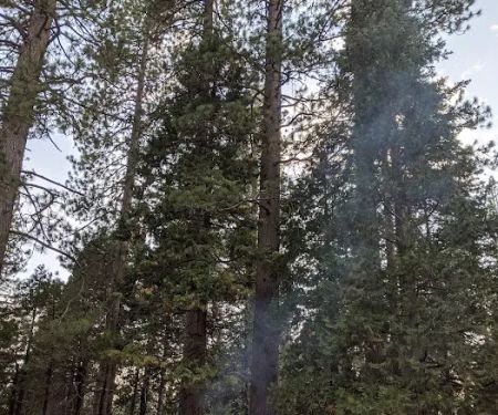 Onion Valley Campground