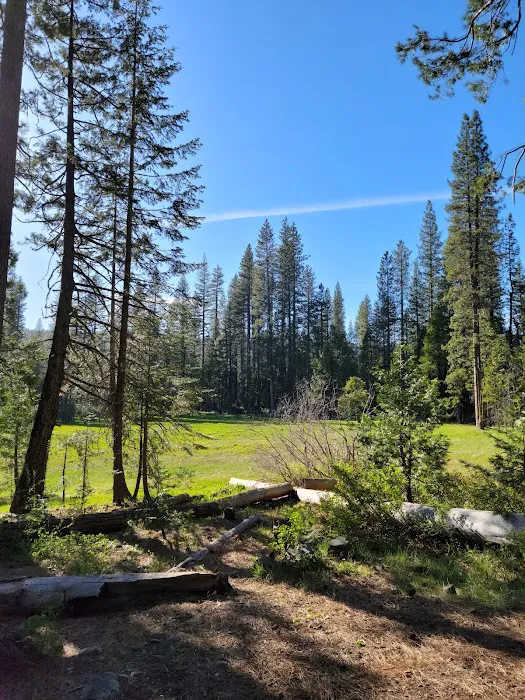 Onion Valley Campground Picture 4