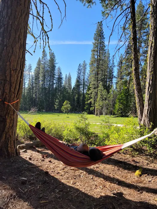 Onion Valley Campground Picture 6