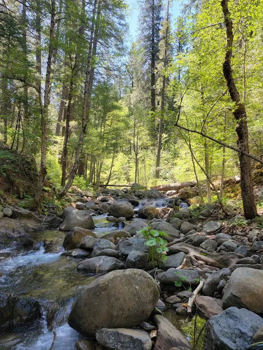 Onion Valley Campground Picture 8
