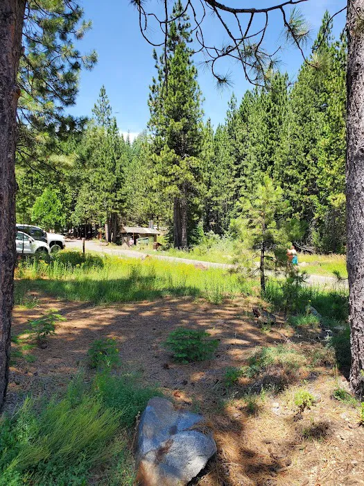 West Point Campground Picture 4