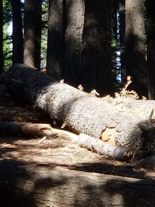 West Point Campground Picture 5