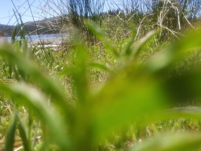 West Point Campground Picture 6