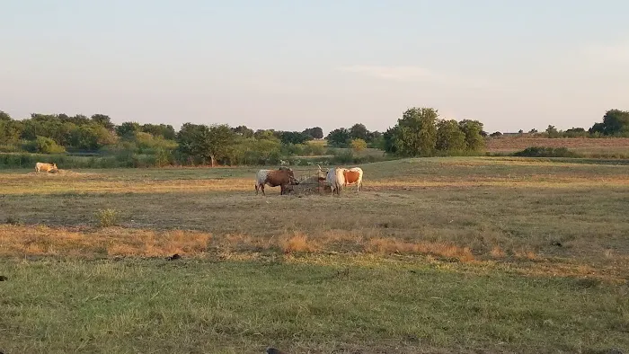 Taylor Blackland Farms RV Park Picture 9